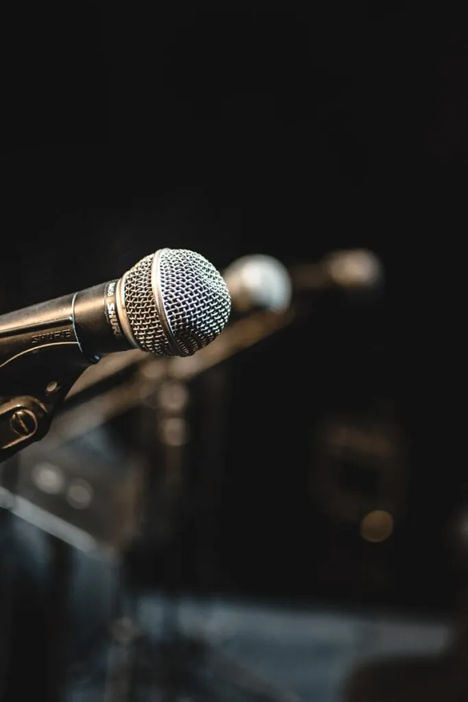 Professional microphone setup for press and media communications